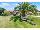 Beautifully landscaped front yard with a mature palm tree and lush green grass at 27018 Nature View St, Leesburg, FL 34748
