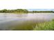 Scenic lake view with lush greenery, creating a serene and picturesque waterfront property at 31941 Tropical Shores Dr, Tavares, FL 32778