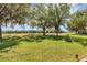 Expansive backyard with a well-maintained lawn and mature trees, offering plenty of space for outdoor activities and relaxation at 3519 Arlington Ridge Blvd, Leesburg, FL 34748