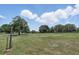 Large grassy yard with scattered trees and perimeter fencing, providing ample space at 40143 Babb Rd, Umatilla, FL 32784