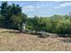 A tranquil backyard featuring natural landscaping and a serene view of the water at 605 Black Eagle Dr, Groveland, FL 34736