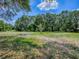 Big grassy backyard with leafy trees offering lots of shade at 9144 Sw 156Th Pl, Dunnellon, FL 34432