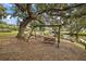 This home has a gorgeous backyard with a relaxing swing by the water and a great view at 10303 Se Sunset Harbor Rd, Summerfield, FL 34491