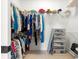 Well-organized walk-in closet with ample storage space, shelves and hanging racks at 11215 Se 172Nd Place, Summerfield, FL 34491