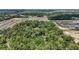 Expansive land featuring a forest of mature trees bordered by residential neighborhoods at 11495 Se 71St Terrace Rd, Morriston, FL 32668