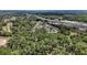 Expansive land featuring a forest of mature trees bordered by residential neighborhoods at 11495 Se 71St Terrace Rd, Morriston, FL 32668