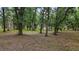 Expansive backyard featuring mature trees and natural landscaping at 11495 Se 71St Terrace Rd, Morriston, FL 32668