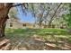 Large backyard featuring lush greenery and mature trees, providing ample shade and privacy at 1228 Padgett Cir, Lady Lake, FL 32159