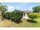 Cozy backyard featuring a well-maintained lawn and privacy bushes, creating a serene outdoor space at 1282 Fort Lawn Loop, The Villages, FL 32162