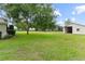 Beautiful green yard showing a storage shed, pasture and trees for shade and added privacy at 12913 County Road 104B, Oxford, FL 34484