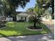 Lovely home with a lush green lawn, mature trees, and a decorative palm tree in the front yard at 1339 Orchid Ave, Winter Park, FL 32789