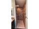 Tiled shower featuring chrome grab bar and towel racks at 2441 Nellie Rd, The Villages, FL 32163