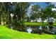 Picturesque pond surrounded by vibrant green grass and mature trees creating a serene landscape at 33 Palm Dr, Yalaha, FL 34797