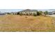 Spacious backyard of home with simple privacy landscaping on corner lot at 3769 Causey Ct, The Villages, FL 32163
