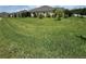 Expansive front yard with a green lawn and manicured landscaping at 3769 Causey Ct, The Villages, FL 32163