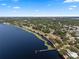 Scenic aerial shot of the waterfront showing a wooden pier and lush greenery along the shoreline at 378 W Osceola St, Clermont, FL 34711