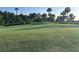 Expansive golf course with lush green grass, palm trees, and rolling hills, perfect for a day on the green at 3817 Miragalia Ln, The Villages, FL 32163