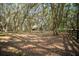 Large front yard featuring mature trees offering ample shade to the residence at 3930 Griffin Ave, Lady Lake, FL 32159