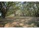 Estate's secluded grounds feature mature trees, lush greenery and well-maintained pastures for added privacy at 3930 Griffin Ave, Lady Lake, FL 32159