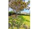 A grassy backyard with mature trees and a neatly maintained lawn, offering a tranquil and inviting outdoor space at 3969 Derby Glen Dr, Clermont, FL 34711