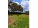 A grassy backyard with mature trees and a neatly maintained lawn, offering a tranquil and inviting outdoor space at 3969 Derby Glen Dr, Clermont, FL 34711