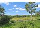 Scenic backyard view overlooking serene pond and lush green landscaping, enhancing privacy at 440 Bellissimo Pl, Howey In The Hills, FL 34737