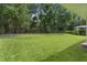 Spacious backyard with lush lawn and mature trees, complemented by a sturdy wooden fence at 541 Cokesbury Dr, The Villages, FL 32162