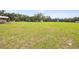 Large, open green pasture, perfect for livestock or recreation at 9483 Cr 747, Webster, FL 33597