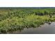 Scenic lake view surrounded by lush trees and a small dock at 124A Shady Ln, Eustis, FL 32726