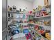 Walk-in pantry provides ample storage space with wire shelving, keeping groceries and supplies neatly organized at 17108 Se 111Th Terrace Rd, Summerfield, FL 34491