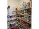 Large walk-in pantry providing abundant storage space at 17108 Se 111Th Terrace Rd, Summerfield, FL 34491
