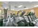 Well-equipped gym features modern treadmills and weight machines for a complete workout at 17406 Chateau Pine Way, Clermont, FL 34711