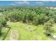Aerial shot of property showcasing the boundaries and mature trees at 21320 Paradise Way, Eustis, FL 32736