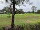 Lush backyard featuring a green expanse and view of the neighborhood landscape at 2450 Sweetwater Country Club Dr, Apopka, FL 32712