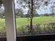 Backyard providing serene outdoor space with a view of green lawns and community scenery at 2450 Sweetwater Country Club Dr, Apopka, FL 32712