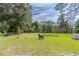 Expansive backyard featuring lush green grass and mature trees, creating a serene outdoor space with decorative dog art at 2475 Karen Dr, Mount Dora, FL 32757