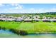 Aerial view showcasing the neighborhood's large yards, scenic water view, and charming homes, bathed in sunlight at 313 Blue Cypress Dr, Groveland, FL 34736