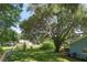 A large yard with mature trees at 5380 County Road 122, Wildwood, FL 34785