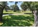 Lush green front lawn view with mature trees providing shade and picturesque landscapes, enhances the property's curb appeal at 5380 County Road 122, Wildwood, FL 34785