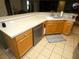 Kitchen sink and dishwasher with tile floor and wooden cabinets at 751 Old Oaks Ln, Leesburg, FL 34748