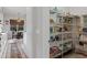 Walk-in pantry with wire shelving, providing ample storage space off the kitchen area at 9512 Mid Summer Ln, Leesburg, FL 34788