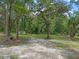 Expansive, partially cleared lot offering privacy and shade from mature trees at 12288 Sw 35Th Dr, Webster, FL 33597