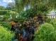 Tranquil koi pond featuring a small waterfall and lush aquatic plants at 17324 Se 82Nd Pecan Ter, The Villages, FL 32162