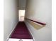 Carpeted stairway leading down, featuring painted walls and a handrail at 2007 Country Brook Ave, Clermont, FL 34711