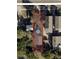 An aerial view shows the property lot and surrounding neighborhood with mature trees at 220 E Woodward Ave, Eustis, FL 32726