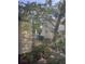 View from inside towards the shared yard of the multi-Gathering home at 220 E Woodward Ave, Eustis, FL 32726