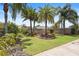 Landscaped backyard with healthy green lawn and beautiful mature palm trees on a bright sunny day at 2312 Nackman Pl, The Villages, FL 32162