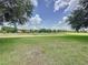 Lush green backyard offering a serene and expansive outdoor space with mature trees and clear skies at 243 Bayou Bend Rd, Groveland, FL 34736