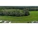 An expansive green space adjoins the community, offering a serene and natural backdrop at 29810 Anahid Dr, Leesburg, FL 34748