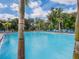 A refreshing pool view with the trunk of a palm tree in the foreground at 29810 Anahid Dr, Leesburg, FL 34748